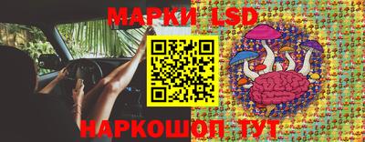 МДПВ Канаш
