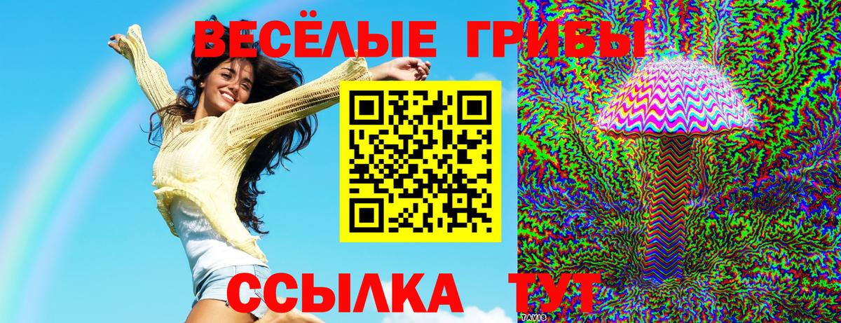 Ливны  Псилоцибиновые грибы Magic Shrooms  Вход с VPN 